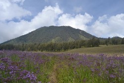 Daki Gunung Semeru, Cara Lain Mengisi Libur Lebaran