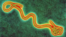 Inggris Siaga Menghadapi Ebola
