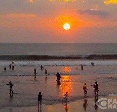 Asyik Berenang, Seorang Remaja Terbawa Ombak di Pantai Sawarna