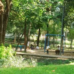 Yuk! Piknik Sambil Foto-foto di Taman Tebet