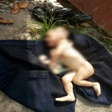 Bayi Diduga Hasil Hubungan Gelap Ditemukan Tewas Dikerubuti Semut