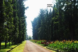 Menikmati Teduhnya Kebun Raya Bogor