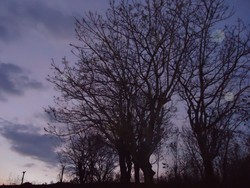 Senja di Desa Maritaing