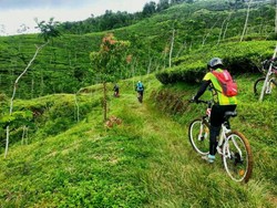 Serunya Gowes Sepeda di Trek Roller Coaster