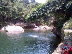 Organ Ribuan Ikan Kerling yang Mati Misterius Rusak, Diduga Keracunan