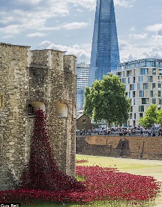 Lautan Instalasi Bunga Tandai 100 Tahun Perang Inggris