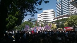 Massa Prabowo-Hatta Padati Jalan Depan MK, Lalin Dialihkan ke Jl Abdul Muis