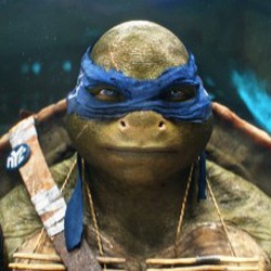 Aksi Kura-kira Ninja dan Si Seksi Megan Fox