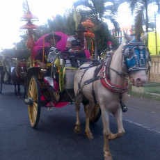 Tradisi Puter Kayun Lebarannya Keluarga Kusir Dokar