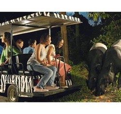 Foto: 5 Kebun Binatang Terbaik di Dunia