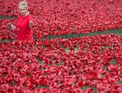 Keren! Tower of London Dikelilingi Ribuan Bunga Keramik (2)