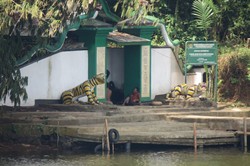 Kisah Harimau Jadi-jadian di Situ Panjalu, Ciamis
