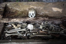 Berani Melihat Kuburan Ala Toraja dari Dekat?