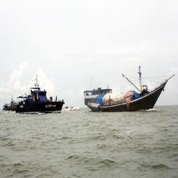 Bea Cukai Gagalkan Penyelundupan Rotan ke Malaysia Senilai Rp 5 Miliar