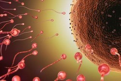 Wah! Sperma Buatan Tengah Diciptakan untuk Bantu Proses Pembuahan