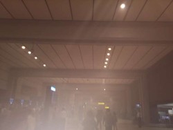 Kebakaran Melanda Restoran Cepat Saji di Terminal 2 Bandara Soekarno-Hatta