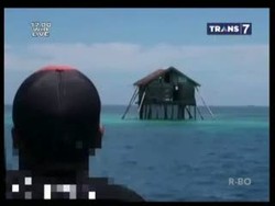 Di Bangunan Ini Seorang Nelayan Hidup Bersama Ratusan Ular Berbisa