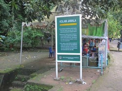 Wow! Ada Kolam Anti Jomblo di Taman Nasional Bantimurung