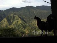 Rehat Sejenak di Bukit Nona