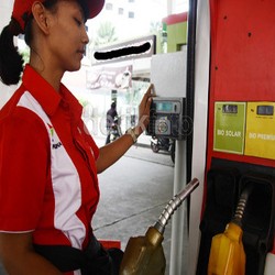 Program Wajib Solar Dicampur Biodiesel Terkendala Infrastruktur