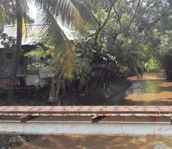 Menengok Bantaran Kali Krukut yang Padat Penduduk