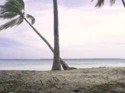 Pantai Bara, Surga dari Sulawesi Selatan