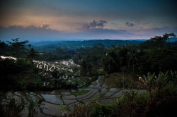 Naik Kereta Yogyakarta-Bandung, Pemandangannya Dahsyat!