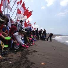 Ketika Bupati Banyuwangi Ingin Anak Penyu juga Hidup Merdeka