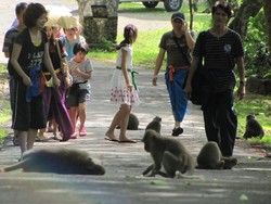 Isu Jilbab di Bali, Bukan Masalah Untuk Turis & Operator Tur