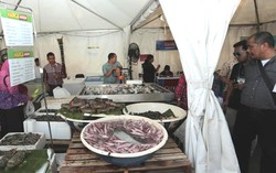 Meriahkan Hari Ikan Nasional Lotte Mart Kelapa Gading Hadirkan Bazar Ikan