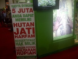 Tawaran Investasi Lahan Pohon Jati, Ini Caranya