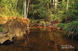 50 Turis Singapura Diusir dari Batam Karena Ribut & Cerewet