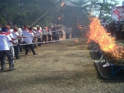 HUT ke-69 Jabar, Ganja Senilai Rp 1,4 Miliar Dimusnahkan di Lapangan Gasibu