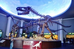 Melihat Lebih Dekat Kerangka Dinosaurus di Museum Satwa, Batu