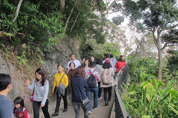Ini Tempat Wisata di Hong Kong yang Bikin Tubuh Sehat