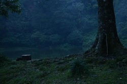 Ssst, di Puncak Juga Ada Telaga Warna Seperti Dieng