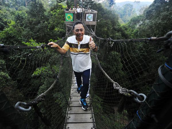 Menhut Jajal Canopy Bridge