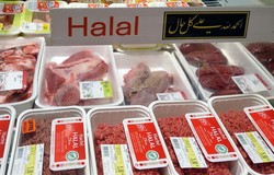 Populasi Muslim Eropa Meningkat, Kini Pasar Halal Eropa Bernilai 30 Miliar Dollar
