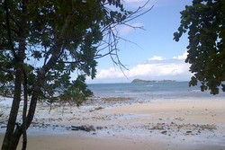 Pantai Waiwo di Raja Ampat, Cantiknya Bukan Main!