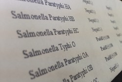 Typus Tak Sama dengan Typhoid, Bedanya Apa Sih?