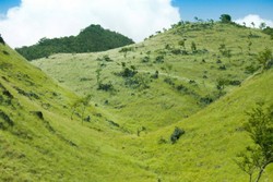 Seperti Padang Rumput di Eropa, Padahal Ini di Aceh Besar