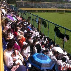 Situs CPNS Tak Bisa Diakses, Kemenpan Minta Pelamar Tetap Tenang