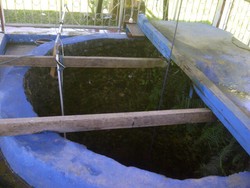 Minum Air dari Sumur Tua di Pulau Mansinam Ini Dipercaya Berkhasiat Bagi Kesehatan