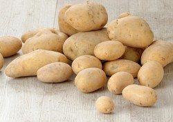 Kentang untuk Mashed Potatoes