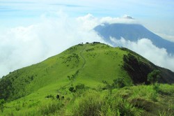 Gunung Merbabu Punya Permadani Hijau Raksasa