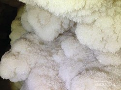 Ajaib! Ada Gua Kristal di Bau-bau, Sulawesi Tenggara