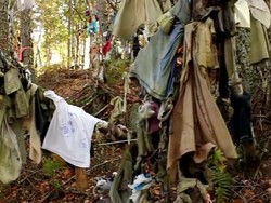 Yang Aneh di Skotlandia, Ikat Pohon Pakai Kain Minta Kesehatan