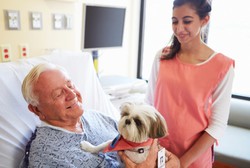 Tempat Rehabilitasi Ampuh untuk Pasien Stroke: Rumah