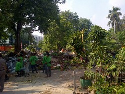 Satpol PP Bongkar Bangunan Tanpa Izin di Taman Putra Putri Pluit