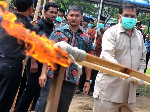 2 Ton Ganja dan 1 Kg Sabu Dimusnahkan